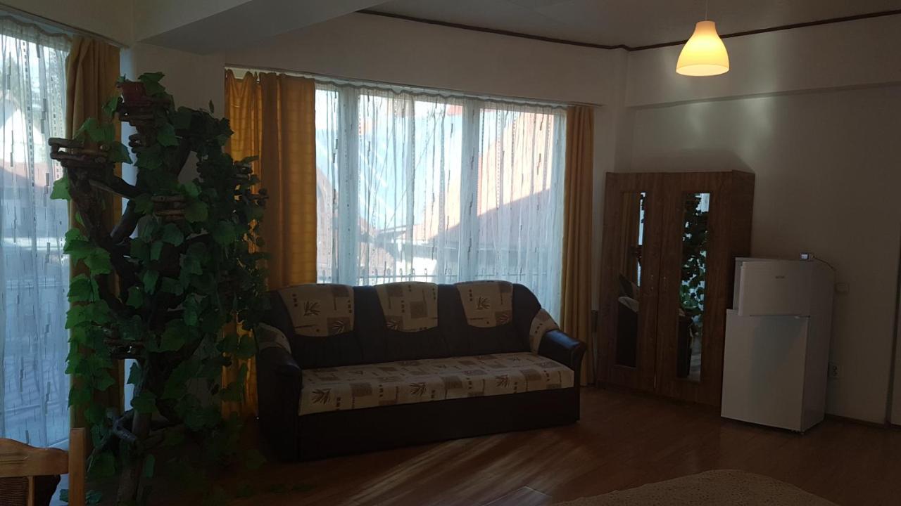 Pensiunea Casa Noastra Hotel Sinaia Kültér fotó