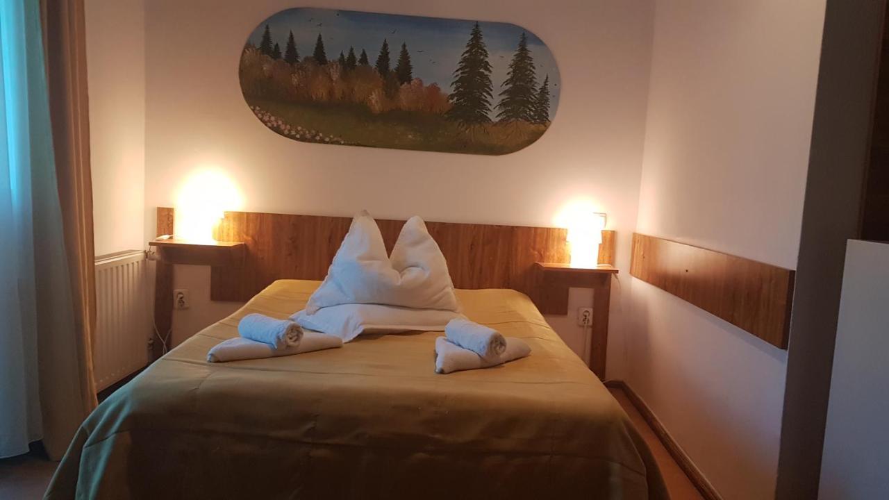 Pensiunea Casa Noastra Hotel Sinaia Kültér fotó